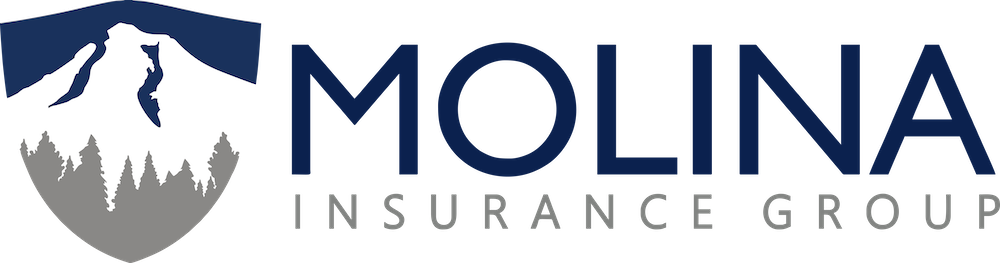 Molina Insurance – Portland – Insurance for Auto, Homeowners, Business, Life & More!